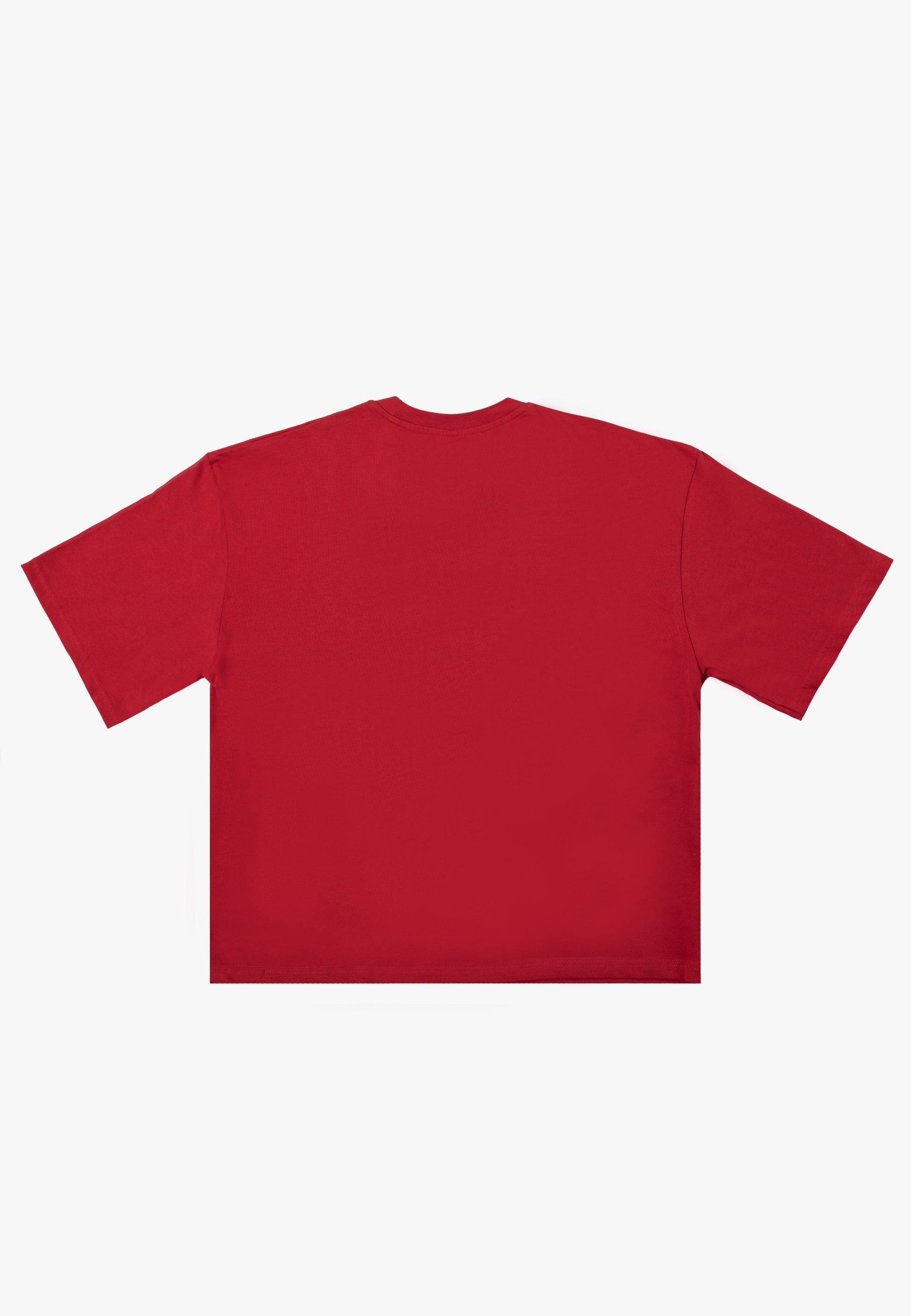 Ski Aggu - AGGU! Red - T-Shirt | Men-Image